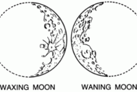 moon phases coloring page moon phases coloring page