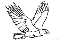 eagle printable coloring pages eagle printable coloring pages
