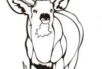 deer head coloring pages deer head coloring pages
