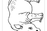 rhino coloring pages