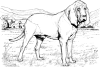 realistic cute dog coloring pages realistic cute dog coloring pages