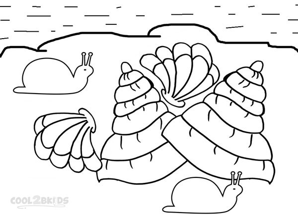 Printable Seashell Coloring Pages For Kids | Cool2bKids