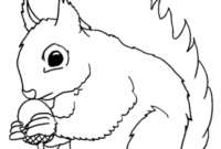 27 ecureuil dessin a imprimer pics 27 ecureuil dessin a imprimer pics