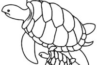coloriage tortue a imprimer gratuit
