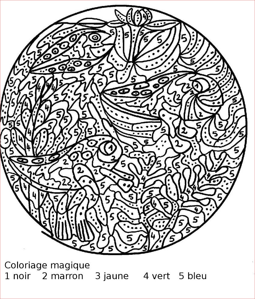 14 Petite Coloriage Dur Image - COLORIAGE