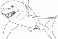 dessin a colorier facile requin