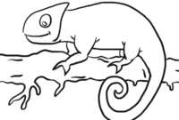 chameleon color page