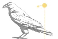 dessiner un corbeau facile