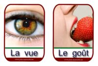 coloriage maternelle pdf 5 sens coloriage maternelle pdf 5 sens