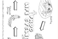 frog life cycle coloring page frog life cycle coloring page