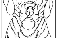 labrador coloring page labrador coloring page