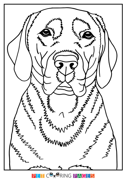 Labrador Coloring Page at GetColorings.com | Free printable colorings