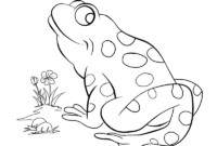reptile coloring sheets