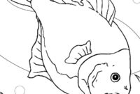 piranha coloring page piranha coloring page