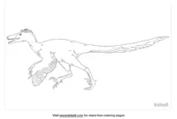 pyroraptor coloring page pyroraptor coloring page