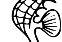 coloring pages sea horse coloring pages sea horse