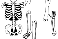 cut out skeleton