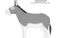 mon ane comptine mon ane comptine