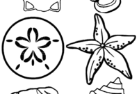 coloring shells coloring shells