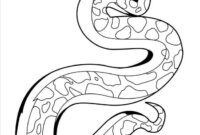 snake color sheet snake color sheet