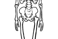 skeleton printables skeleton printables