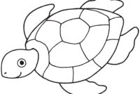 sea turtle to color sea turtle to color