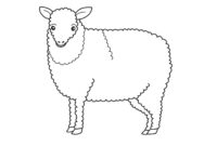 coloring pages of sheep
