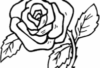 rose for coloring