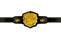 florida panthers championship belt