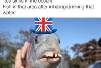 khris middleton fish meme