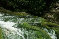 free desktop wallpaper free desktop wallpaper