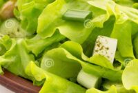 picture of wrap on white plate with salad