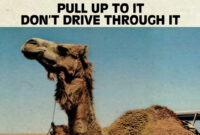 carry nation look a like